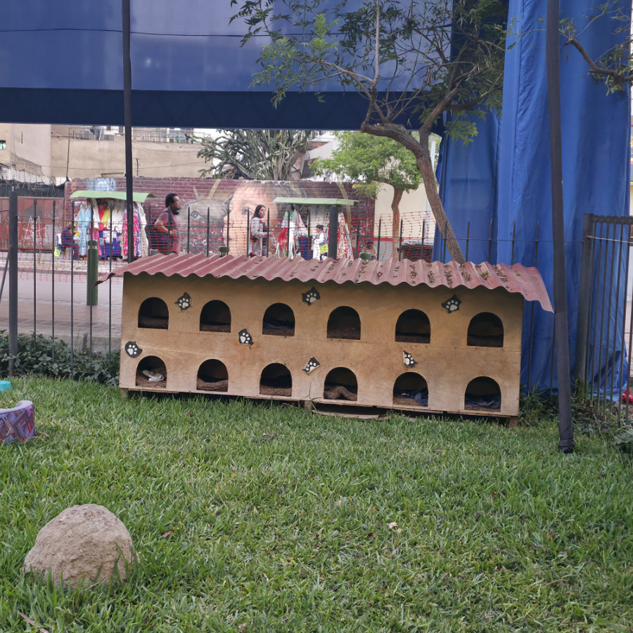 Casa 01 900x900