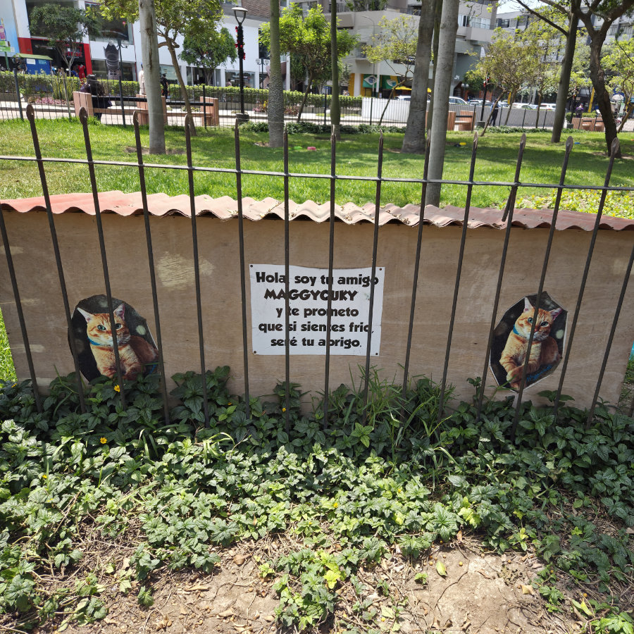 Casa 02 900x900