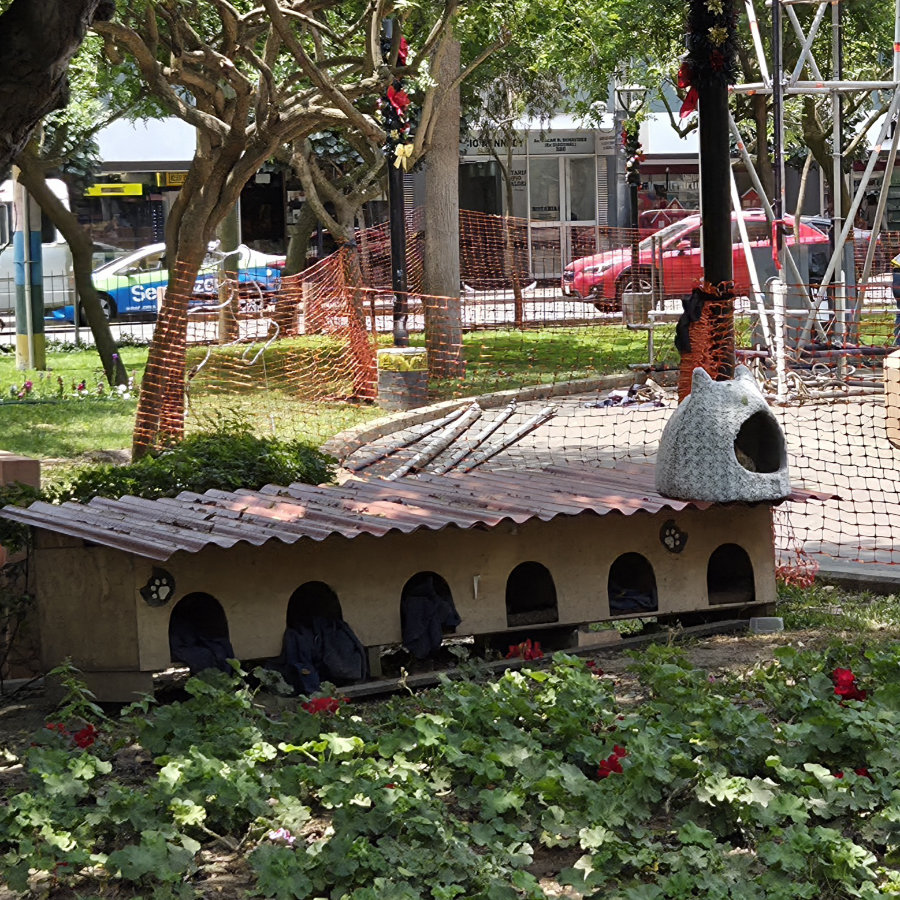 Casa 04 900x900