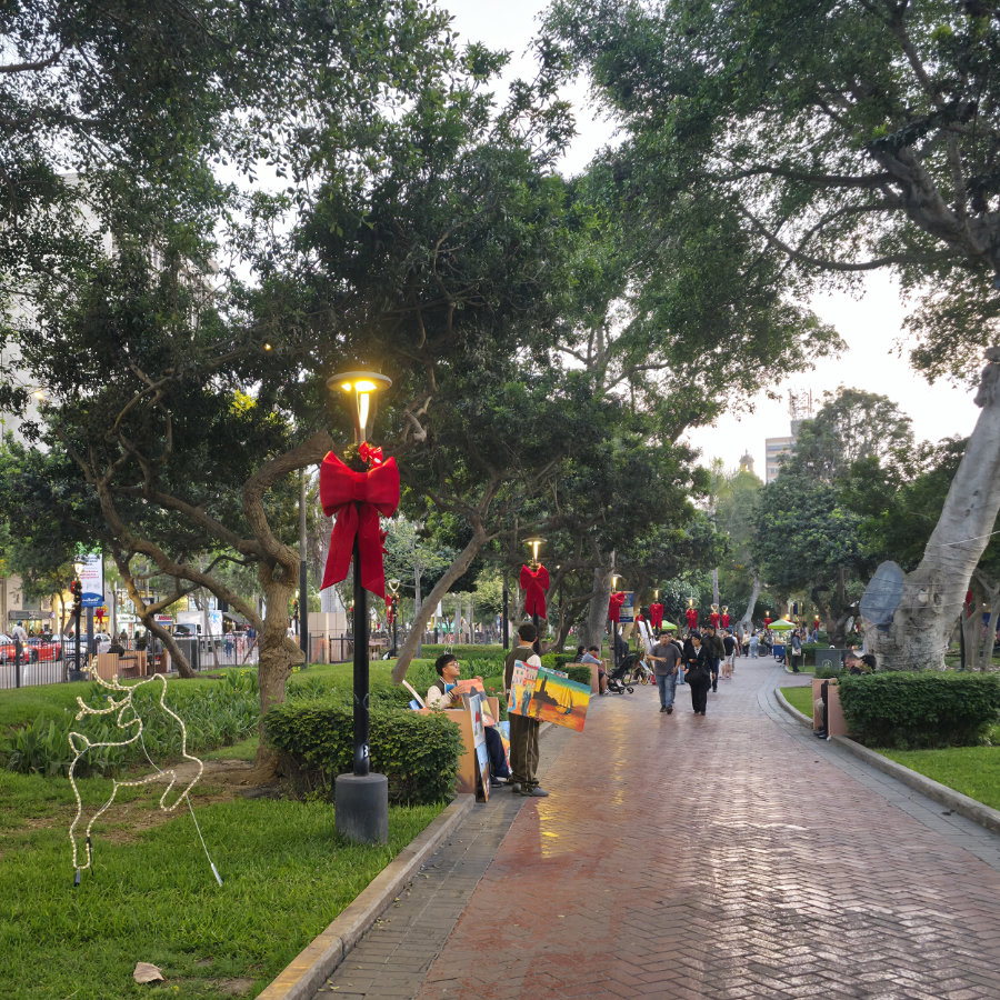 Parque 01 900x900