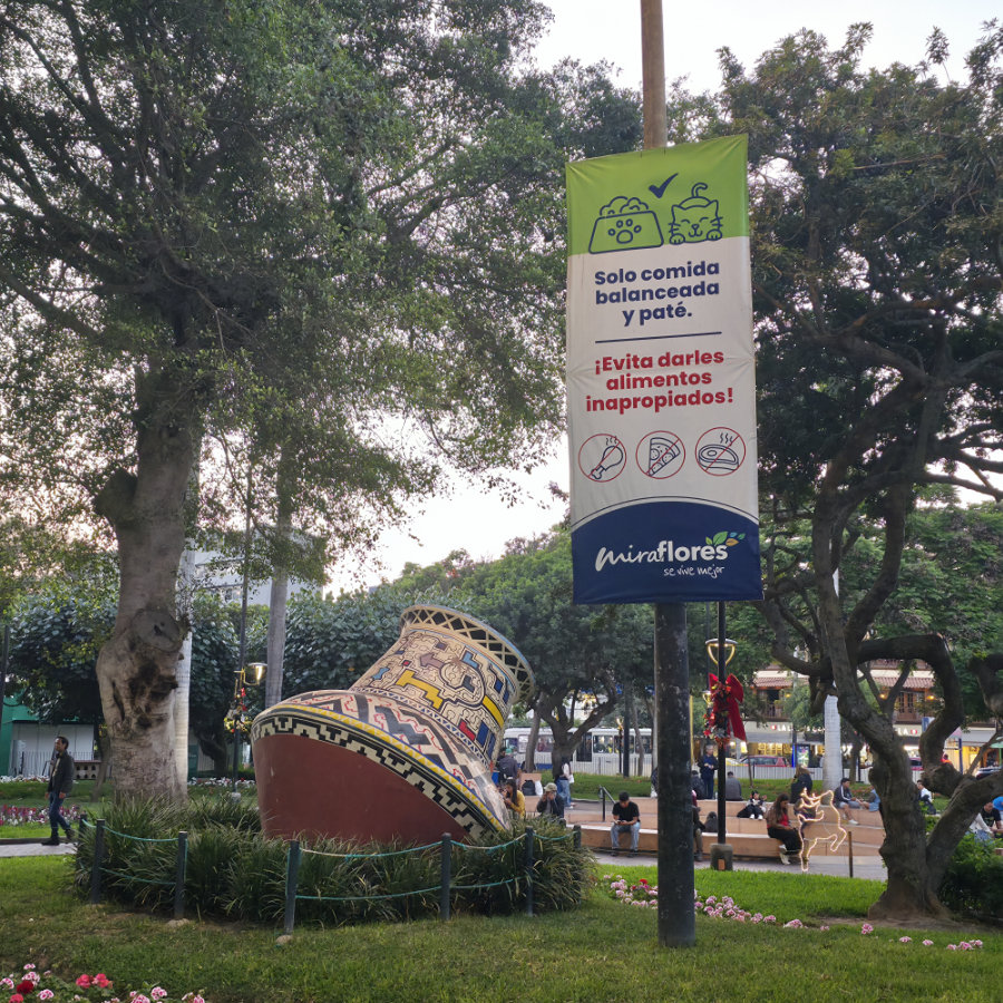 Parque 03 900x900