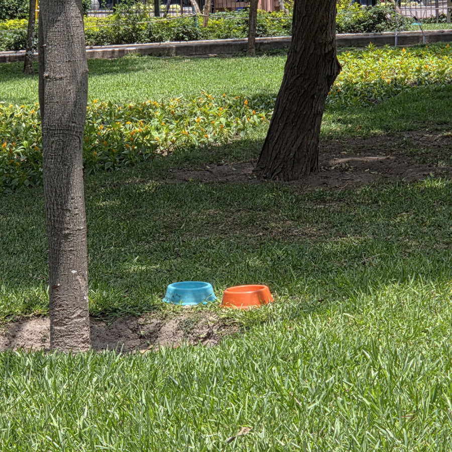 Parque 09 900x900