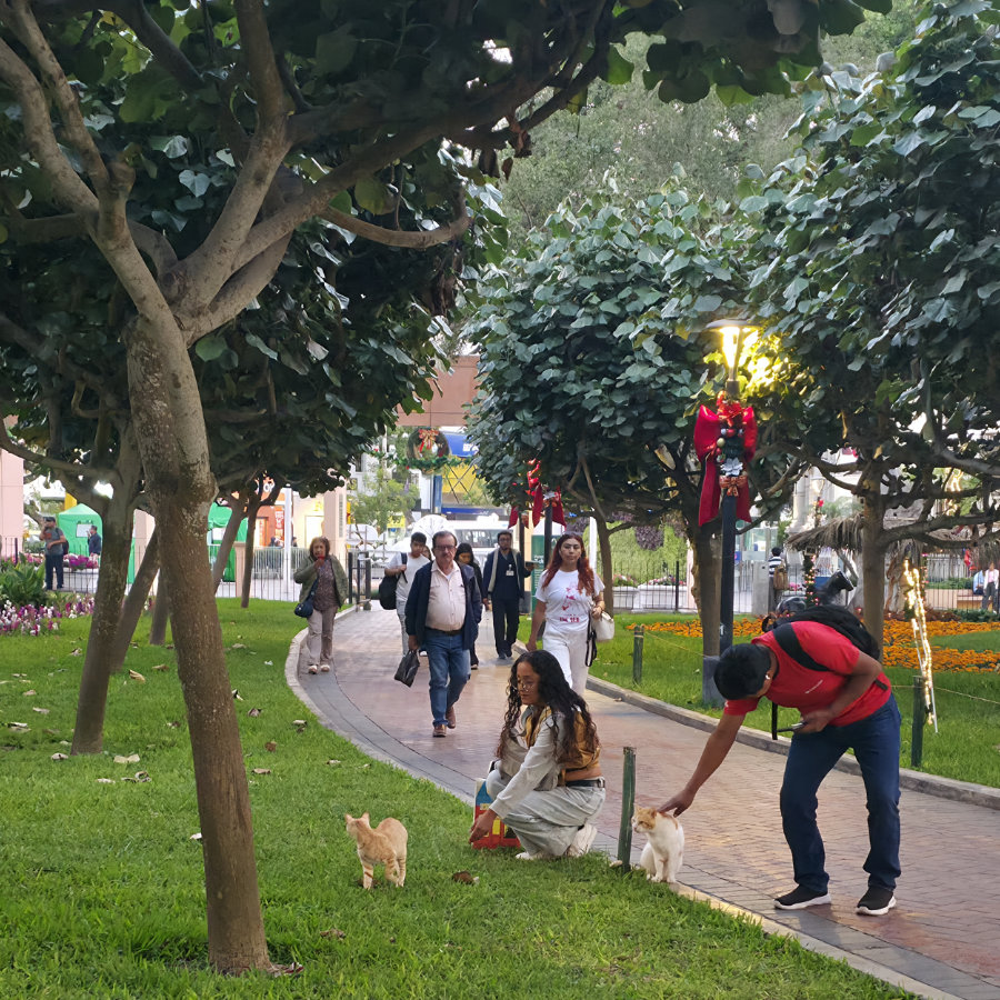 Personas 02 900x900