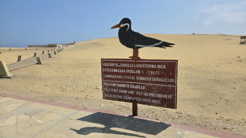 Foto 14 960x540