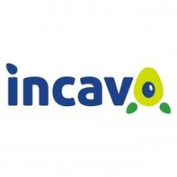 Incavo