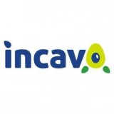 Incavo