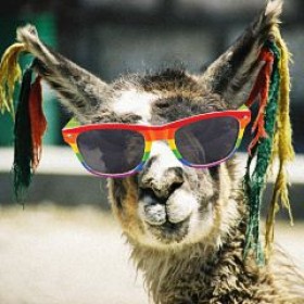 Peru-Vision eröffnet Online-Marktplatz