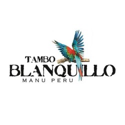Tambo Blanquillo