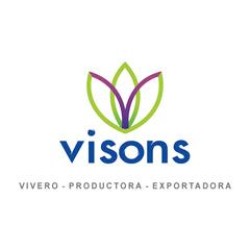 Vison's