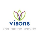 Vison's
